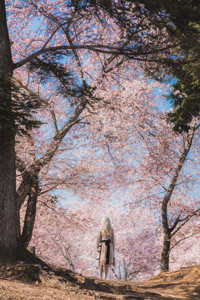 树林赏花美女图片