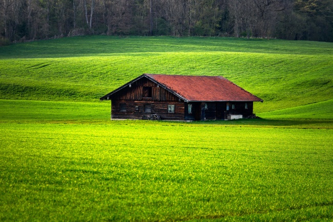 绿草地上的小木屋图片