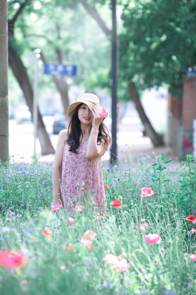 野生花草丛美女写真图片