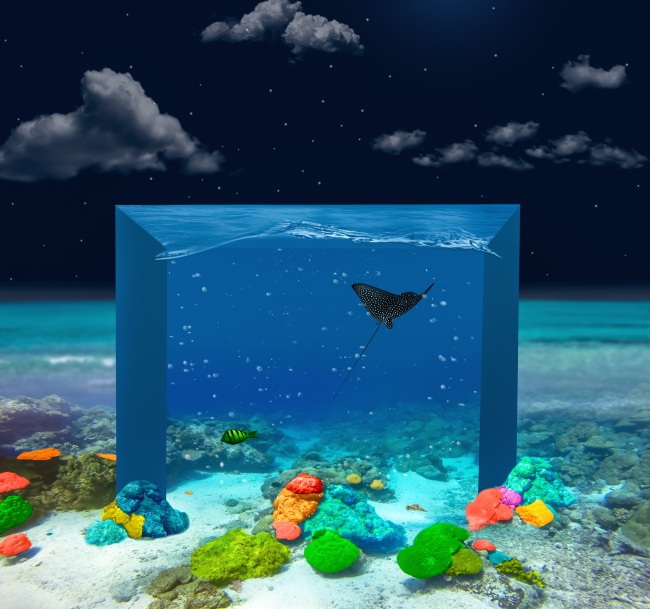 蓝色水族馆海底世界图片