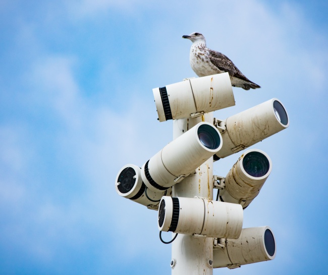 蓝天海鸟监控摄像头图片