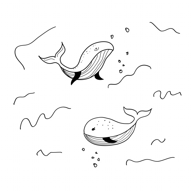 海豚手绘简笔画图片