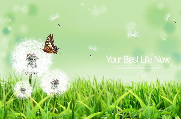 碟恋蒲公英psd素材下载 站长素材