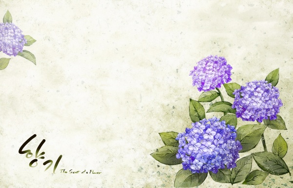 韩国紫色花卉装饰背景图PSD素材下载