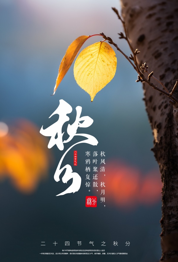 ʮĽֹ溣PSDز