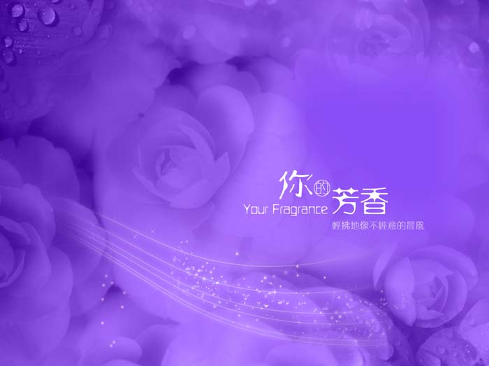 2008婚纱模板下载PSD