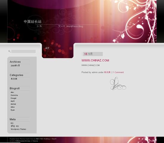 Wordpress Purple Aura模板