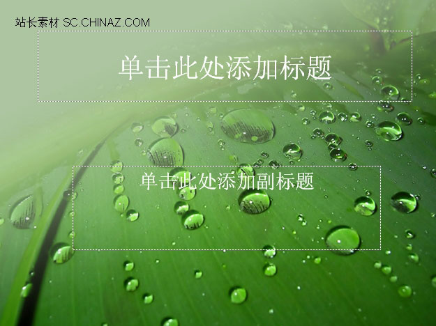 绿叶水珠ppt模板下载